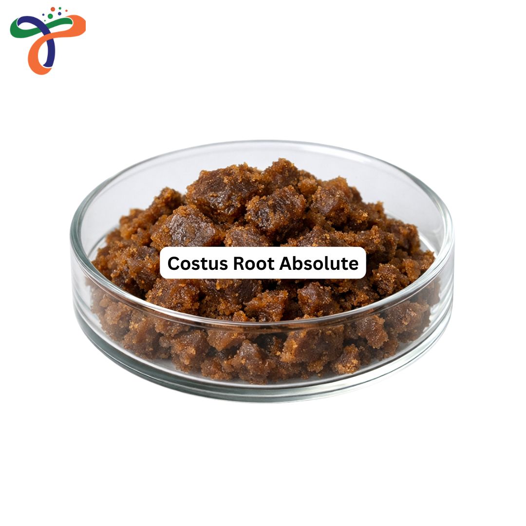 Costus Root Absolute
